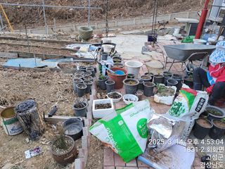 혜공 도봉현님의 기타작물 · 영농일지 작성글 사진