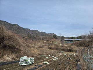 권오관님의 기타작물 · 영농일지 작성글 사진