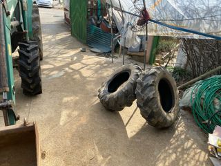 임태묵님의 기타작물 · 영농일지 작성글 사진