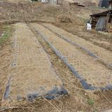 팜모닝 기타작물·영농일지 게시글 이미지