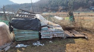 김윤회님의 고추 · 영농일지 작성글 사진