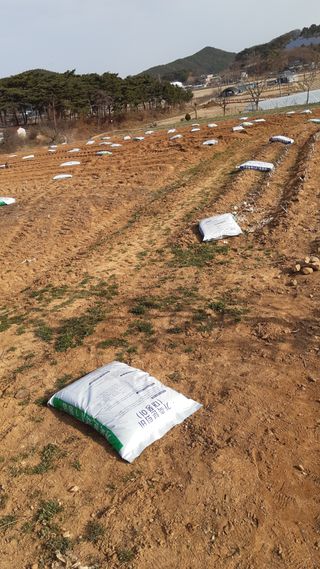 하루의행복님의 기타작물 · 영농일지 작성글 사진