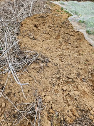 장흥식님의 기타작물 · 영농일지 작성글 사진