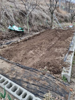 낙엽교목류14371님의 기타작물 · 영농일지 작성글 사진