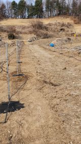 팜모닝 기타작물·영농일지 게시글 이미지