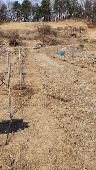 남상호 님의 기타작물 · 영농일지 작성글 사진