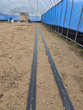 조문기님의 기타작물 · 영농일지 작성글 사진