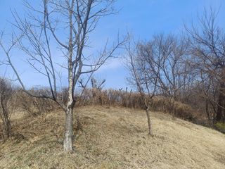 인산님의 기타작물 · 영농일지 작성글 사진