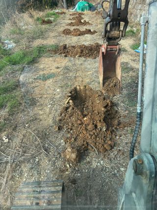 백민곤님의 기타작물 · 영농일지 작성글 사진