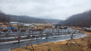 호두마루님의 복숭아 · 영농일지 작성글 사진