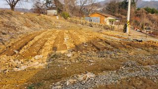 남상호 님의 감자 · 영농일지 작성글 사진