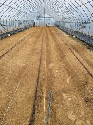 민원배님의 고추 · 영농일지 작성글 사진