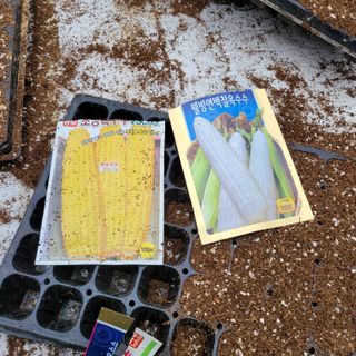 이창화님의 기타작물 · 영농일지 작성글 사진