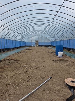 조문기님의 기타작물 · 영농일지 작성글 사진