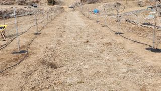 남상호 님의 기타작물 · 영농일지 작성글 사진