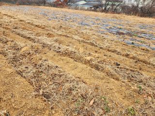 박병한님의 기타작물 · 영농일지 작성글 사진