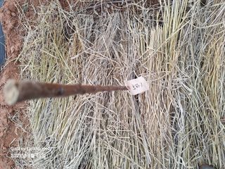 김용환님의 기타작물 · 영농일지 작성글 사진