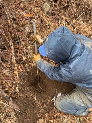 백민곤님의 기타작물 · 영농일지 작성글 사진