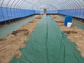 조문기님의 기타작물 · 영농일지 작성글 사진