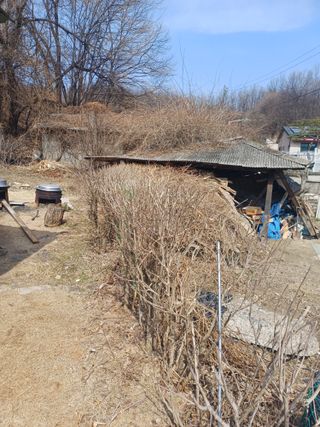 인산님의 기타작물 · 영농일지 작성글 사진