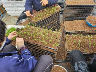 함영동님의 기타작물 · 영농일지 작성글 사진
