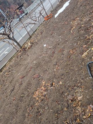 김용대님의 기타작물 · 영농일지 작성글 사진