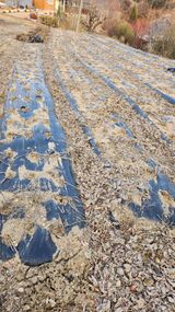 팜모닝 감자·영농일지 게시글 이미지