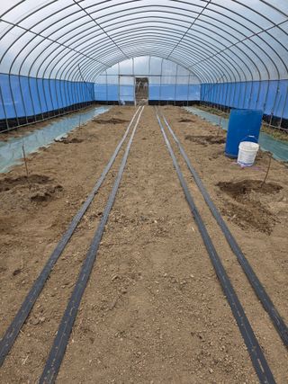 조문기님의 기타작물 · 영농일지 작성글 사진