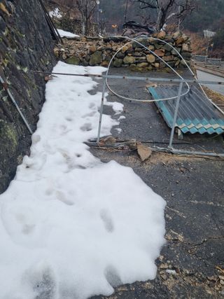 김용대님의 기타작물 · 영농일지 작성글 사진