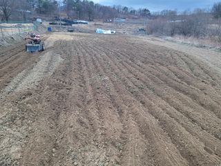 이남주님의 콩 · 영농일지 작성글 사진