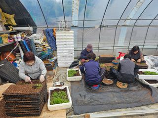 함영동님의 기타작물 · 영농일지 작성글 사진