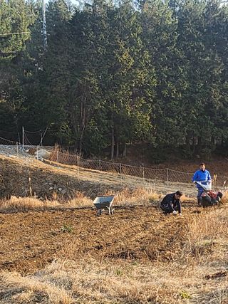 도깨비윤샘 님의 기타작물 · 영농일지 작성글 사진