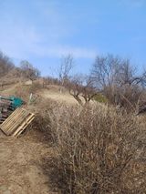 팜모닝 기타작물·영농일지 게시글 이미지