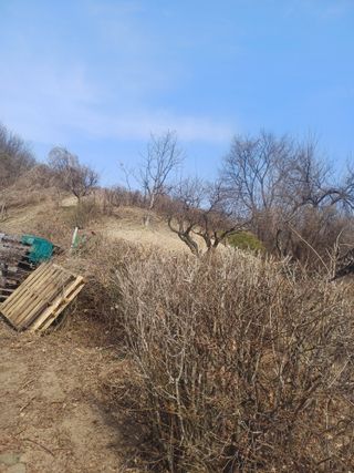 인산님의 기타작물 · 영농일지 작성글 사진