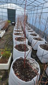 팜모닝 기타작물·영농일지 게시글 이미지