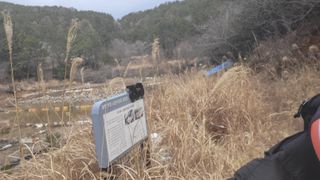 괴동조합장님의 기타작물 · 영농일지 작성글 사진