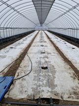 팜모닝 기타작물·영농일지 게시글 이미지