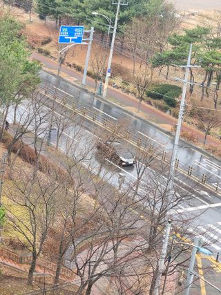 박병한님의 기타작물 · 영농일지 작성글 사진