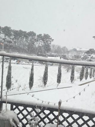 홍성규 님의 기타작물 · 영농일지 작성글 사진