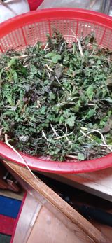 팜모닝 기타작물·영농일지 게시글 이미지