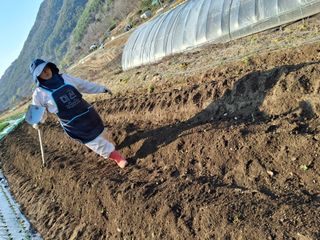 수기님의 기타작물 · 영농일지 작성글 사진