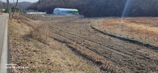 초보농부님의 기타작물 · 영농일지 작성글 사진