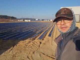 김남근님의 감자 · 영농일지 작성글 사진