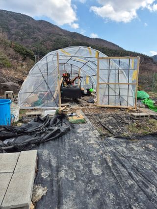 시골농부뜨돌이님의 기타작물 · 영농일지 작성글 사진