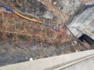 김용대님의 기타작물 · 영농일지 작성글 사진