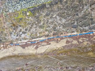 김용대님의 기타작물 · 영농일지 작성글 사진