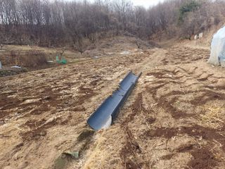 인산님의 기타작물 · 영농일지 작성글 사진