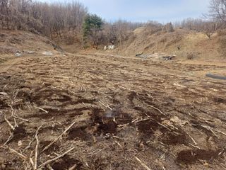 인산님의 기타작물 · 영농일지 작성글 사진