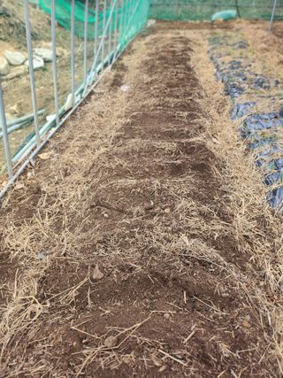 툇골짜기님의 기타작물 · 영농일지 작성글 사진