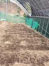 팜모닝 기타작물·영농일지 게시글 이미지